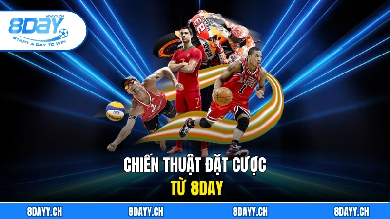 Euro Mấy Năm 1 Lần? Khám Phá Lịch Sử Và Dự Đoán Cùng 8DAY Chiến thuật đặt cược từ 8DAY