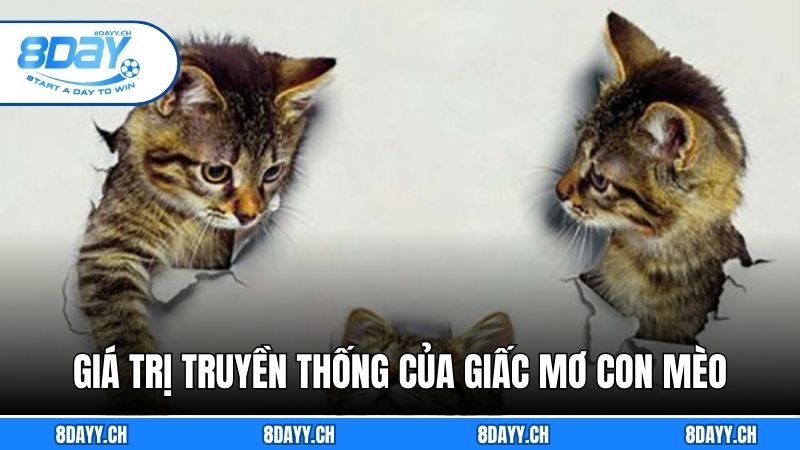 Bí Ẩn Giải Mã Giấc Mơ Con Mèo - Hướng Dẫn Giải Mã Cùng 8DAY Giá trị truyền thống để giải mã giấc mơ con mèo