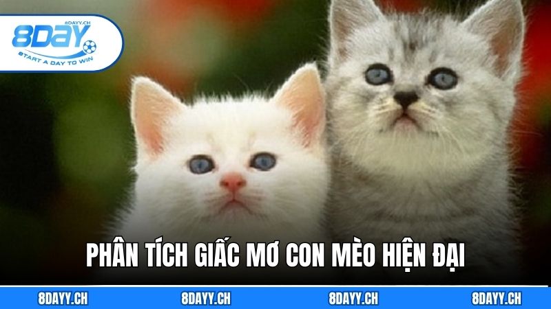 Bí Ẩn Giải Mã Giấc Mơ Con Mèo - Hướng Dẫn Giải Mã Cùng 8DAY Phân tích giấc mơ con mèo hiện đại